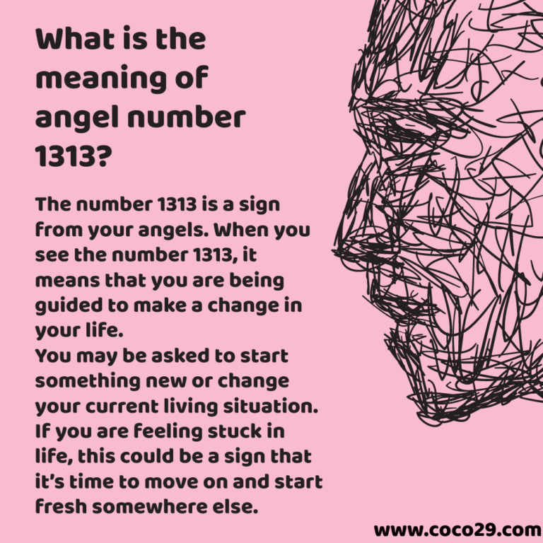1313 meaning
